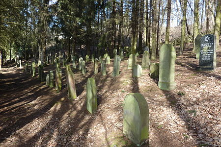 Jüdischer Friedhof Niederzissen 230