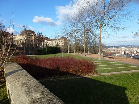 Jardin des Curiosités 1