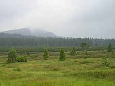 View over the moor