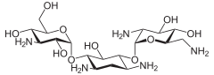 Struktur von Kanamycin B