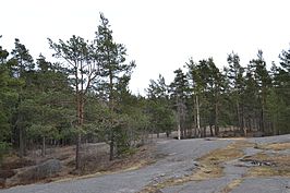 Centraal Park van Helsinki