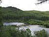 Lake at Bwlch Nant-yr-Arian. (all the dots are red kites!)