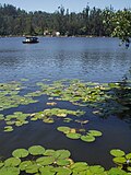 Thumbnail for Kodaikanal Lake