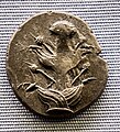 Kyrene - 435-375 BC - silver tetradrachm - silphium plant - head of Zeus Ammon - München SMS