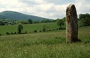 Menhir bei Lacaune