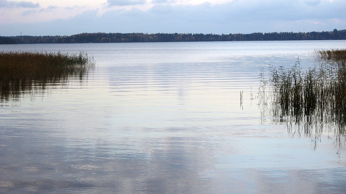 Saimaa (lac)