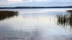 Illustrasjonsbilde av artikkelen Saimaa (innsjø)
