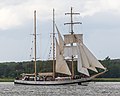 English: Pogoria during Tall Ships’ Race 2019 at Langerak, the eastern part of Limfjord, near Hals.