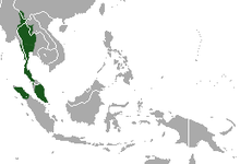 Oblast Lar Gibbon.png