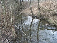 Le ruisseau de L'Hien en bas de Montrevel