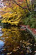 Lithia Park Ashland November 2019 004.jpg