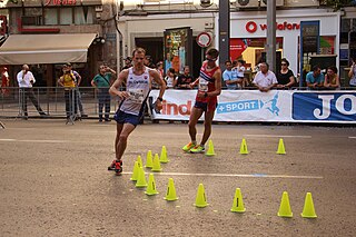 <span class="mw-page-title-main">Dušan Majdán</span> Slovak racewalker