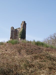 Ruines du château.