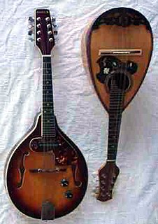 The electric mandolin is an instrument tuned and played as the mandolin and amplified in similar fashion to an electric guitar.
As with electric guitars, electric mandolins take many forms. Most common is a carved-top eight-string instrument fitted with an electric pickup in similar fashion to many archtop semi-acoustic guitars. Solid body mandolins are common in 4-, 5-, and 8-string forms. Acoustic electric mandolins also exist in many forms.