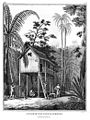 A Plantation House in Sumatra