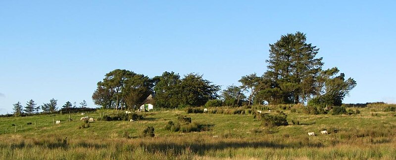 File:Mick Moore's Cottage, Seemacudda - geograph.org.uk - 3126424.jpg