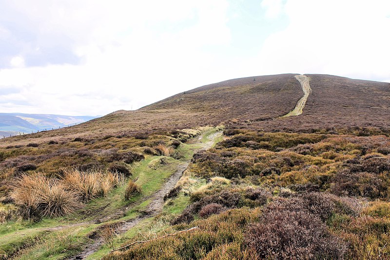 File:Moel y Gamelin, Llantysilio Mountains SSSI and Special Areas of Conservation in Wales - 2021 06.jpg