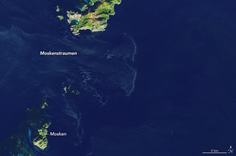 File:Moskstraumen current.png