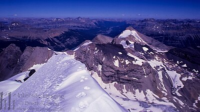 Mt. Forbes summit; wolverine tracks