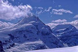 Mts. Columbia & King Edward.jpg