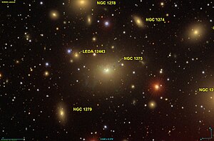 NGC 1275 SDSS.jpg