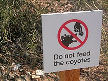 Une pancarte qui déconseille aux gens de nourrir les coyotes, car cela peut les amener à s'habituer à la présence humaine et ainsi augmenter le risque d'attaques.