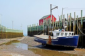 Nova Scotia DSC07907 - Halls Harbour Low Tide (35439522093).jpg