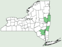 Nymphoides peltata NY-dist-map.png