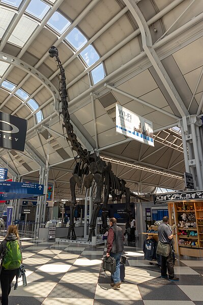 File:Ord brachiosaurus.jpg