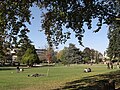 Vignette pour Parc Louis-Pasteur