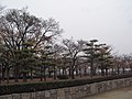Osaka Castle Park 14.JPG