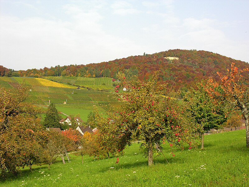 File:Osterfingen 13.10.2008 13-26-29.jpg