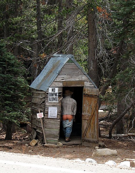 File:Outhouse using.jpg