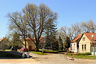 Čeština: Chráněná lípa v Pístech English: Protected lime tree in Písty, Czech Republic.