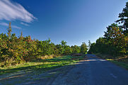 Čeština: Přírodní park Terezské údolí, okres Olomouc