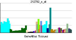 PBB GE POLR2J 212782 x at tn.png