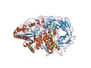 <span class="mw-page-title-main">Glycoside hydrolase family 38</span>