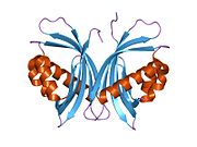 PDB 1jb2 EBI.jpg