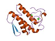 PDB 1n29 EBI.jpg