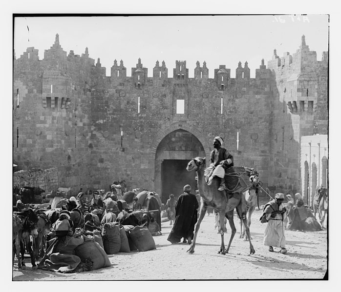 File:Pack train outside Damascus (Gate) (Jerusalem) LOC matpc.11796.jpg