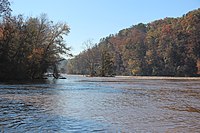 Fluss fließt zwischen Wäldern mit Herbstfarben