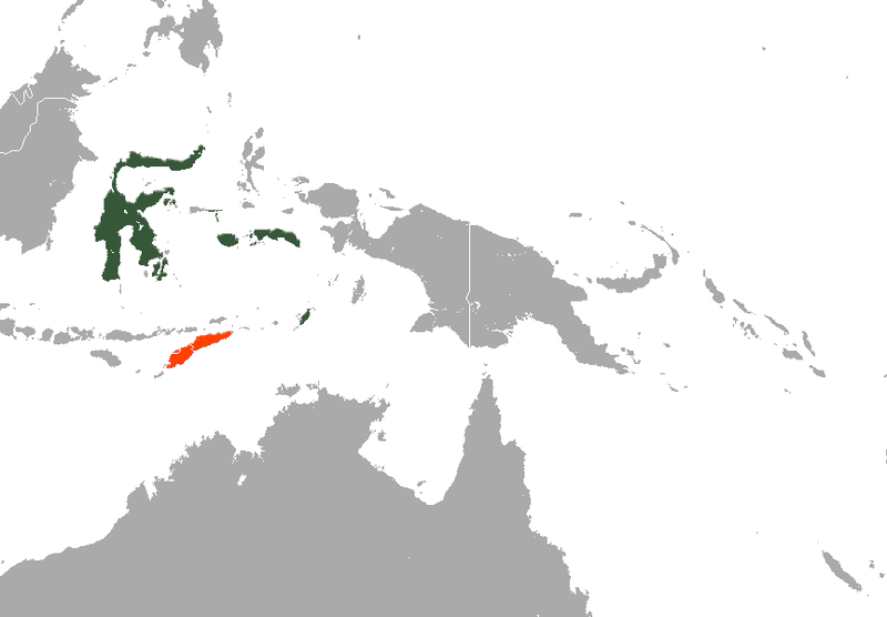 File:Pallas's Tube-nosed Fruit Bat area.png