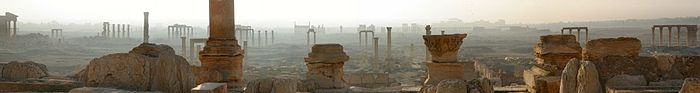 Palmyra panoramă