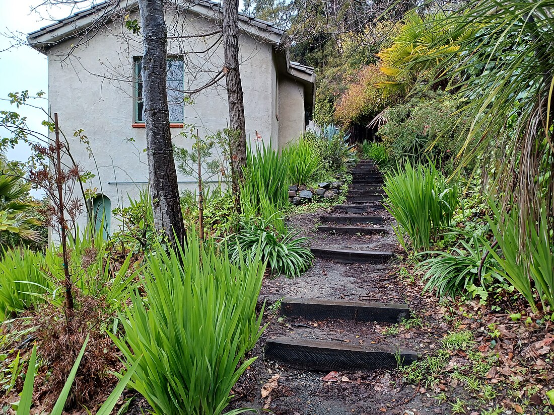 Panoramic Hill, Oakland/Berkeley, California