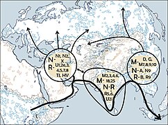 January 3: Suggested "Out of Africa" migratory routes according to mitochondrial DNA.
