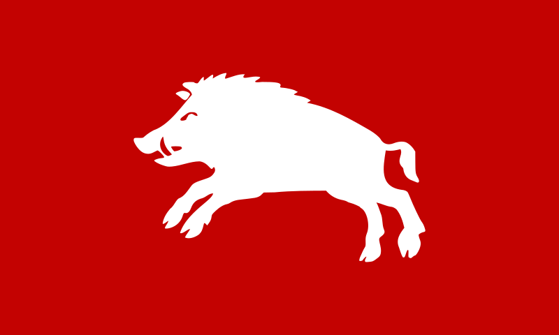 File:Personal flag of Gawyn Trakand.svg