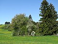 image=https://commons.wikimedia.org/wiki/File:Pestfriedhof_Mittelberg_GO-2.jpg