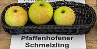 Pfaffenhofer Schmelzling jm55060.jpg