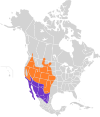 Phalaenoptilus nuttallii map.svg