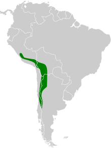 Phegornis mitchellii map.svg